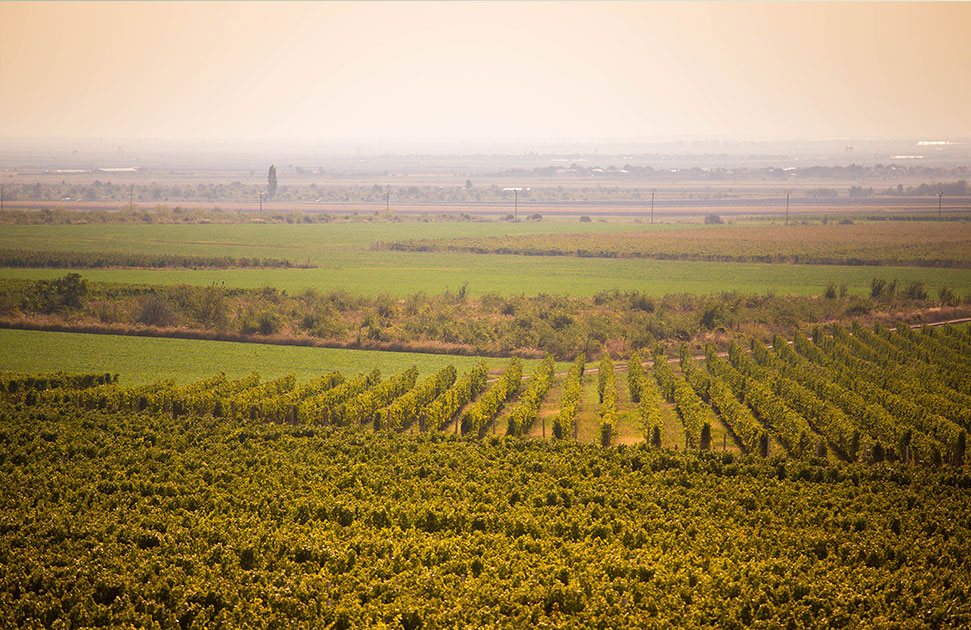 Panorama podgoriei